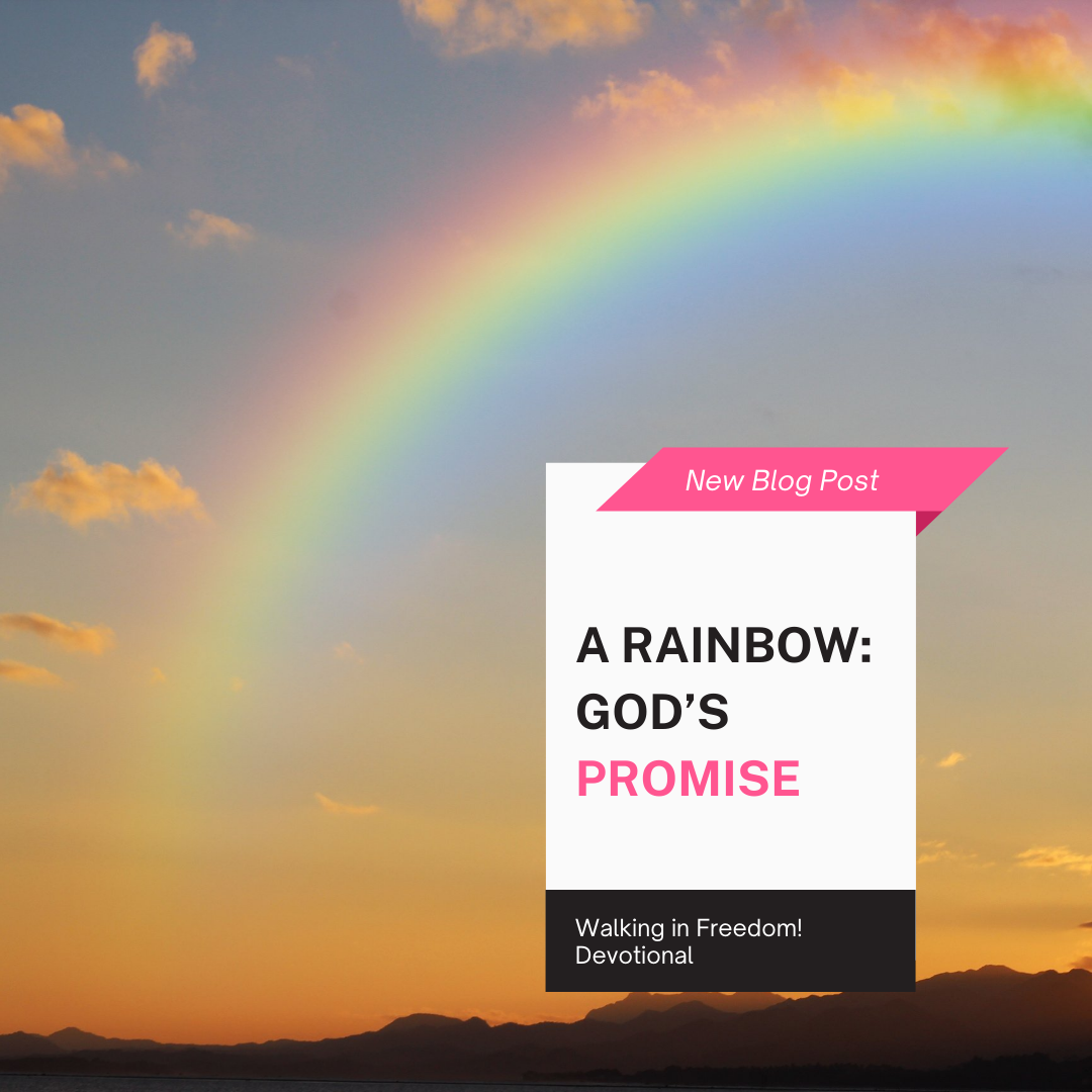 A Rainbow: God’s Promise – Embrace Freedom